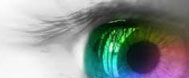 Vision