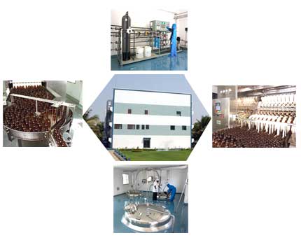 Anaesthetics, Antiallergic Drugs, Antifungals, Hormone Related Drugs, Muscle Relaxants, Oncology
